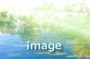 シカレー海浜公園1日観光