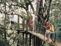 ≪世界遺産グリーンマウンテン、ゴールドコースト、土ボタル生態≫