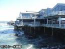 モントレー水族館とキャナリーロー観光(午後)(D)