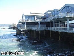 モントレー水族館とキャナリーロー観光(午後)(D)