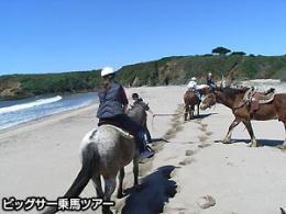 ビッグサー観光と乗馬ツアー(D)