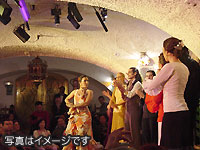 ピカソ・ミロ美術館巡り午前・午後半日観光(E)